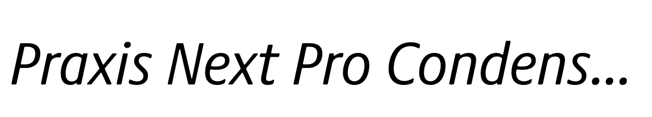 Praxis Next Pro Condensed Italic